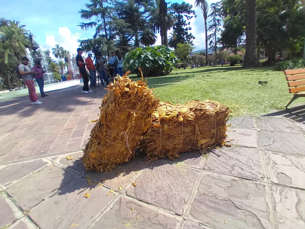 cooperativa norte tab (3)