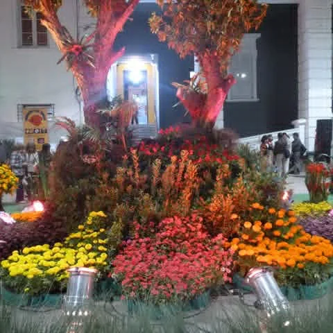 CONCURSO LA FLOR MAS BELLA