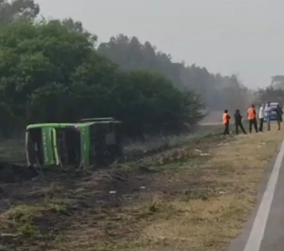 Screenshot_20240923-082251_Facebook