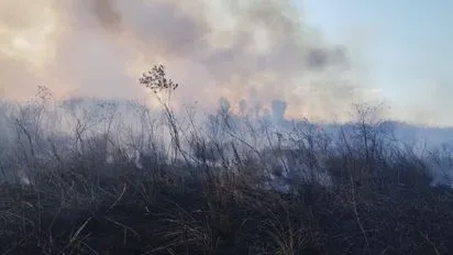 whatsapp-image-2024-07-27-at-204324jpeg