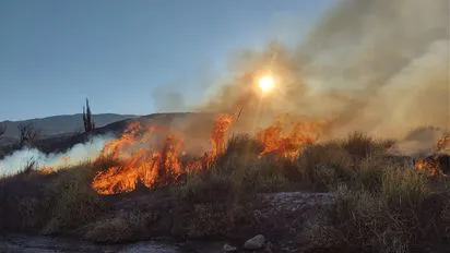 whatsapp-image-2024-07-17-at-211637jpeg