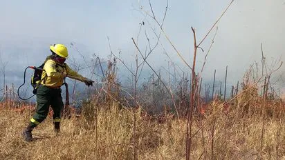 whatsapp-image-2024-07-26-at-202337jpeg