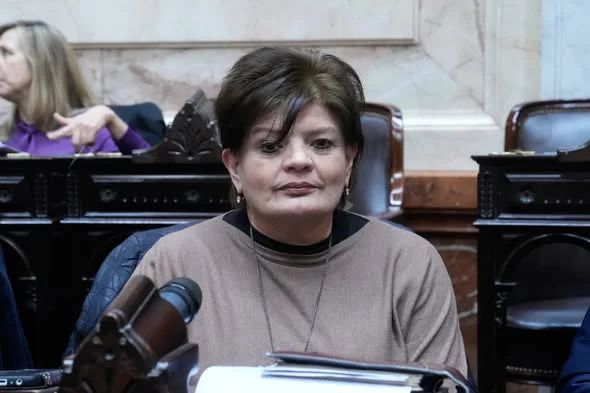 maria ines zigaran diputados nacionales
