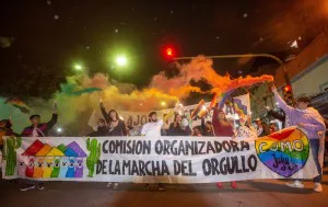 tn_bdd085afe597aa4127d9cb6ef29a797d_300x189