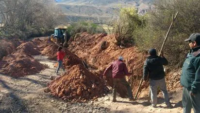 soluciones-basadas-planta-vetiver-3jpeg