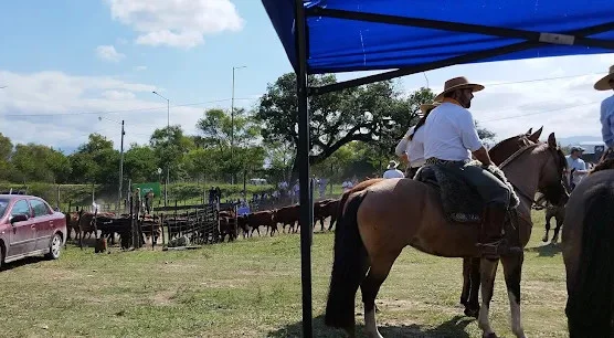 ganados sociedad rural jujeña