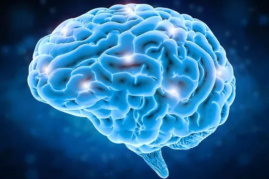 cerebro