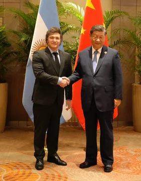 Mile Xi Jinping Cumbre G20