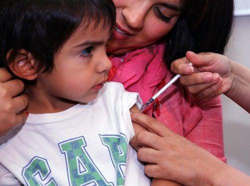 13171965563_500deca54d_z-500x373