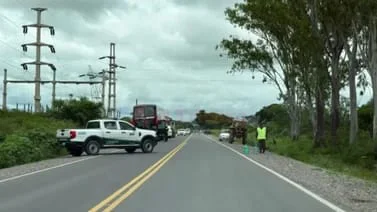 crimen los lapachos