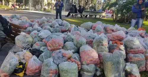 VERDURAZO REFORMA