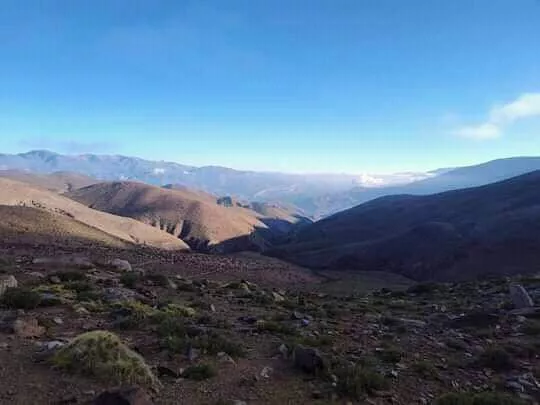 FB_IMG_1680453693602