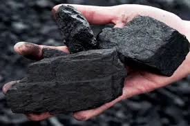 Carbón vegetal  (2)