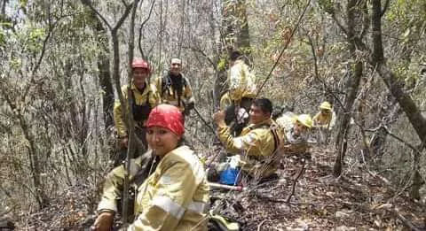 FB_IMG_1661648284787