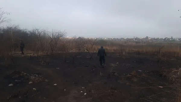 busqeuda juan alejo1