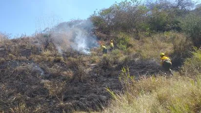 whatsapp-image-2024-07-17-at-223253jpeg