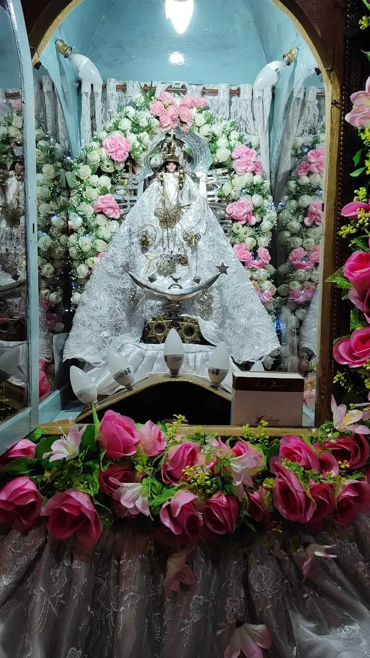 facebook punta corral 2024 (15)