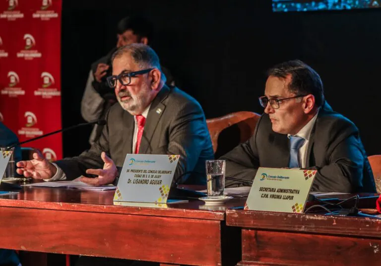 Apertura-de-Sesiones-Ordinarias-2025-Prensa-Muni-Jujuy-3-768x536