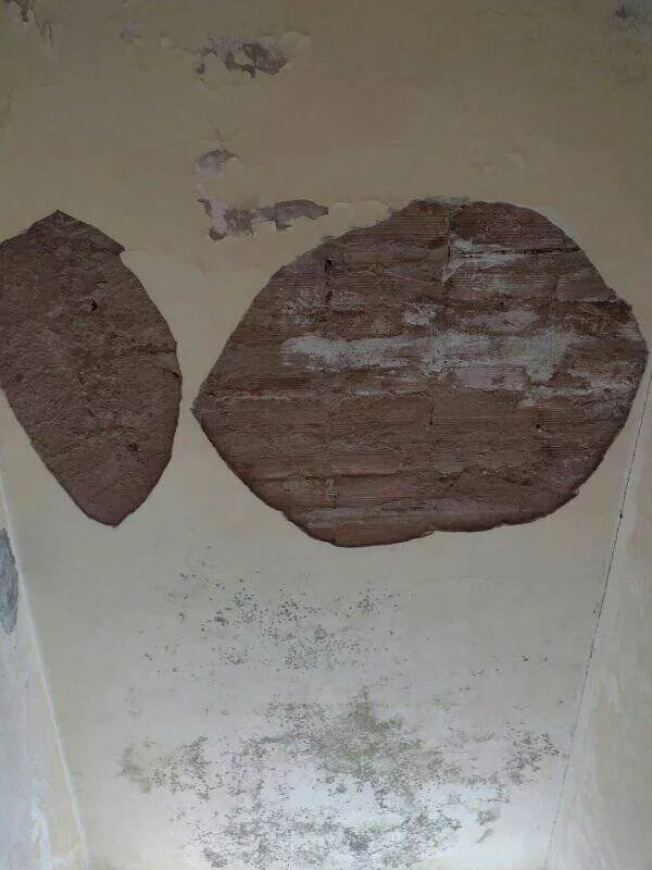 FB_IMG_1681845937208