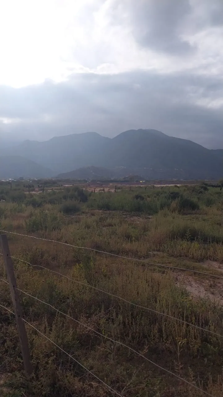 Peregrinación Punta Corral 2025 3