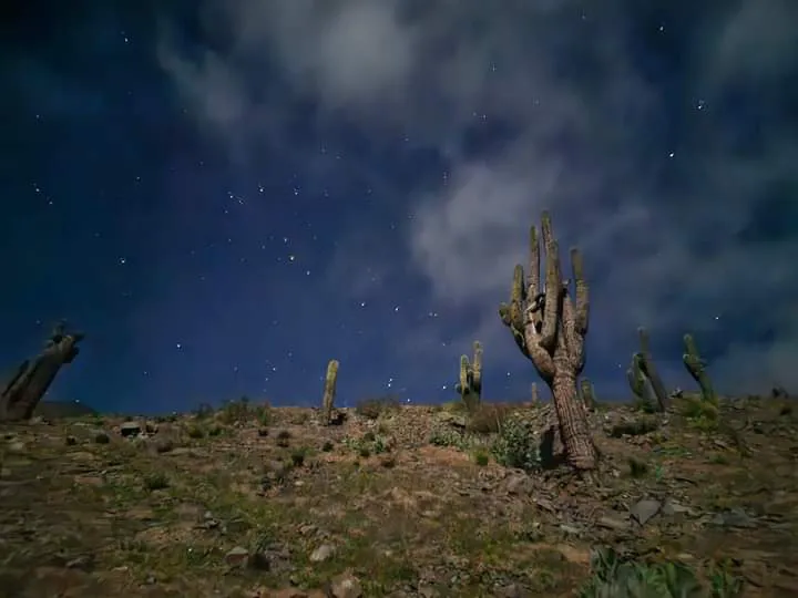 facebook punta corral 2024 (58)