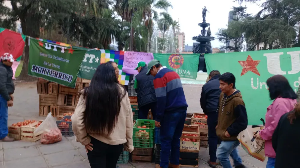 tomataso plaza blegrano