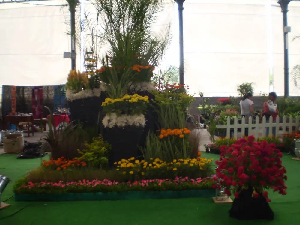 CONCURSO LA FLOR MAS BELLA2