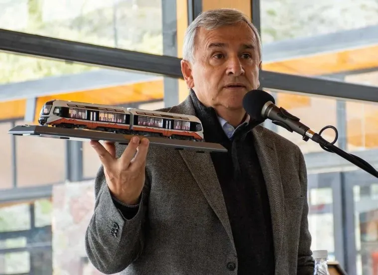 tren turistico morales1