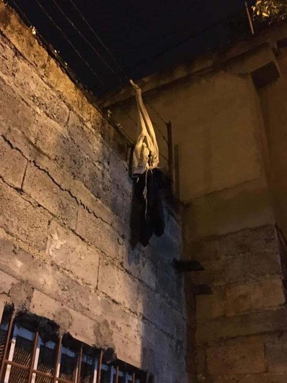 FB_IMG_1638981598380