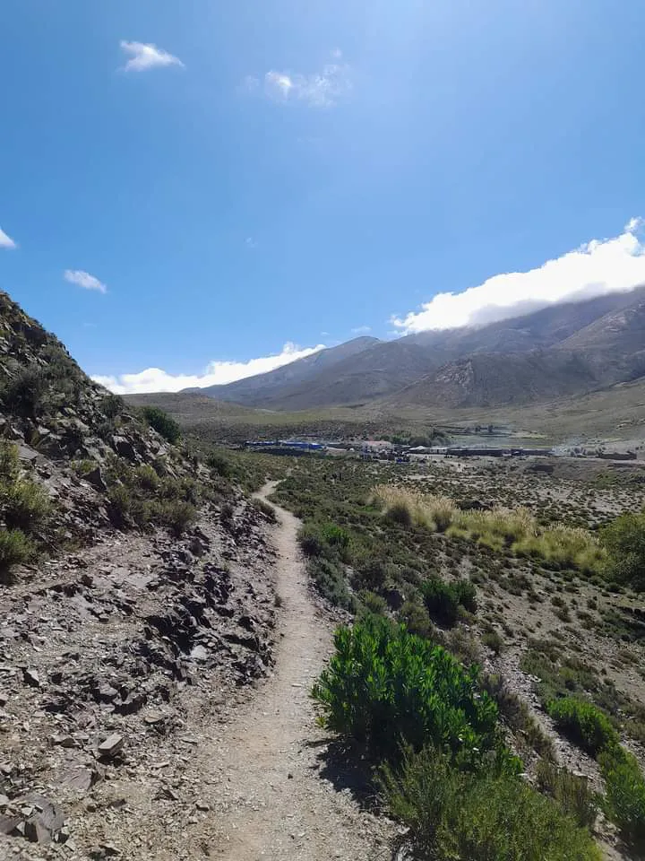 facebook punta corral 2024 (13)