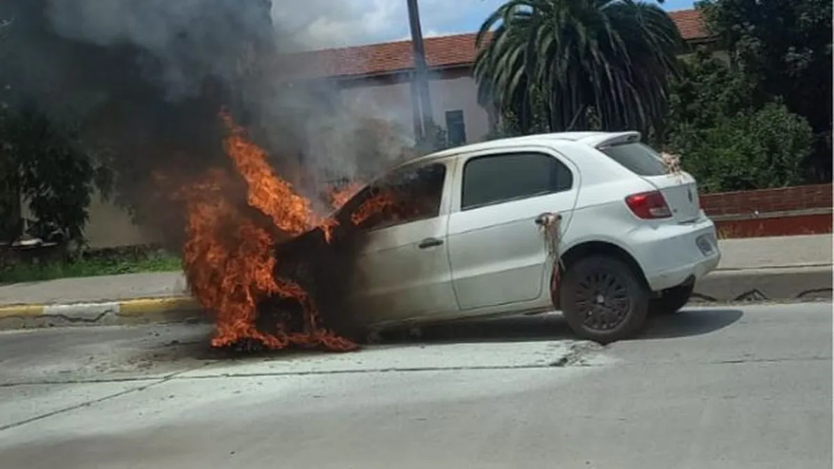 IMG-20240216-WA0029(1)