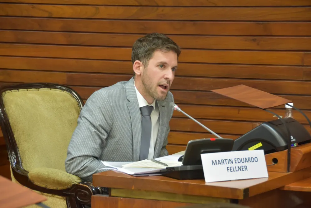 7ma sesion legislatura martin fellner
