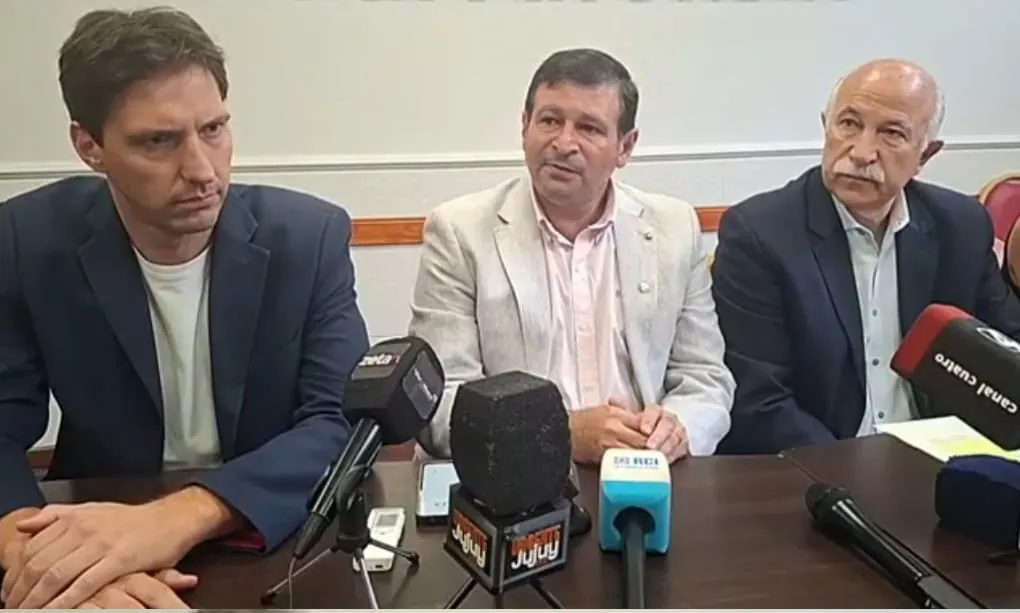 diputados radicales, ley electoral