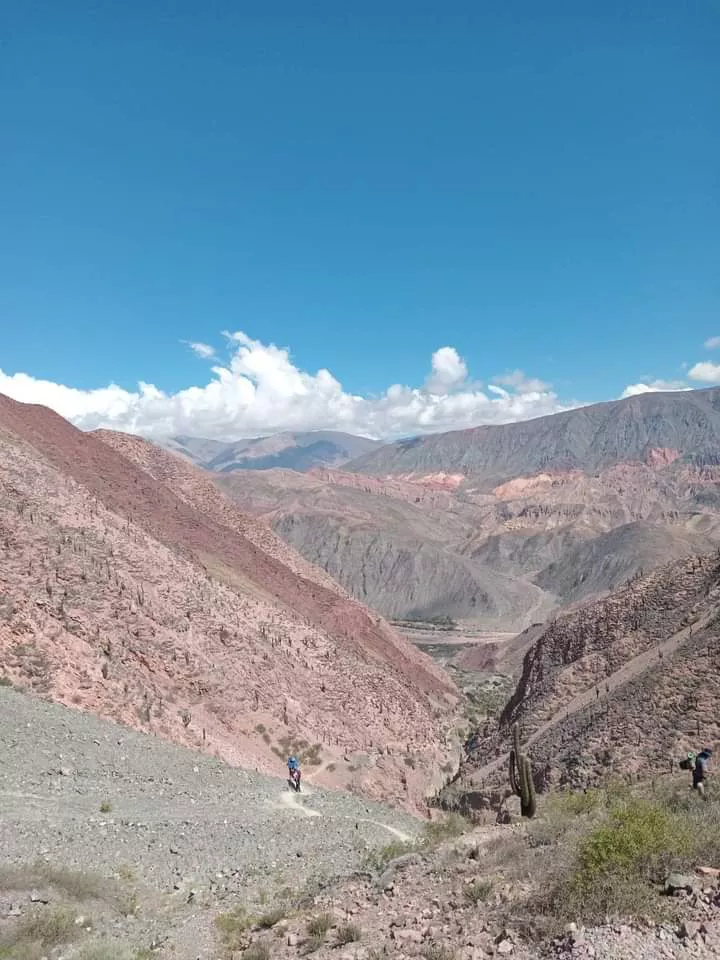 FB_IMG_1680454173131