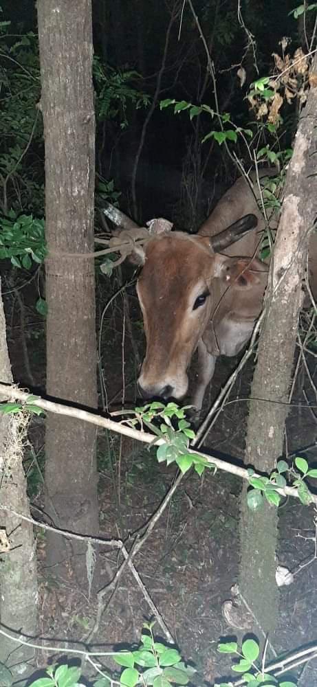 FB_IMG_1637694160618