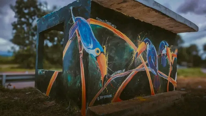 muralistas el bananal6