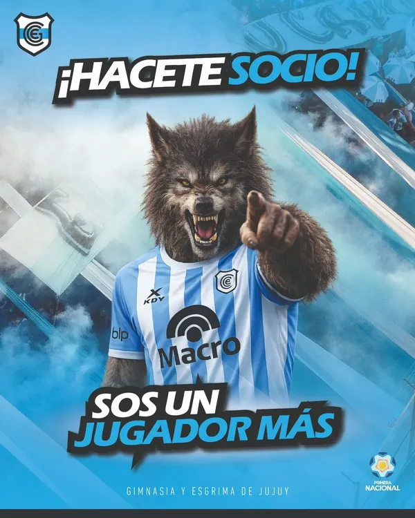 campaña haceted socio