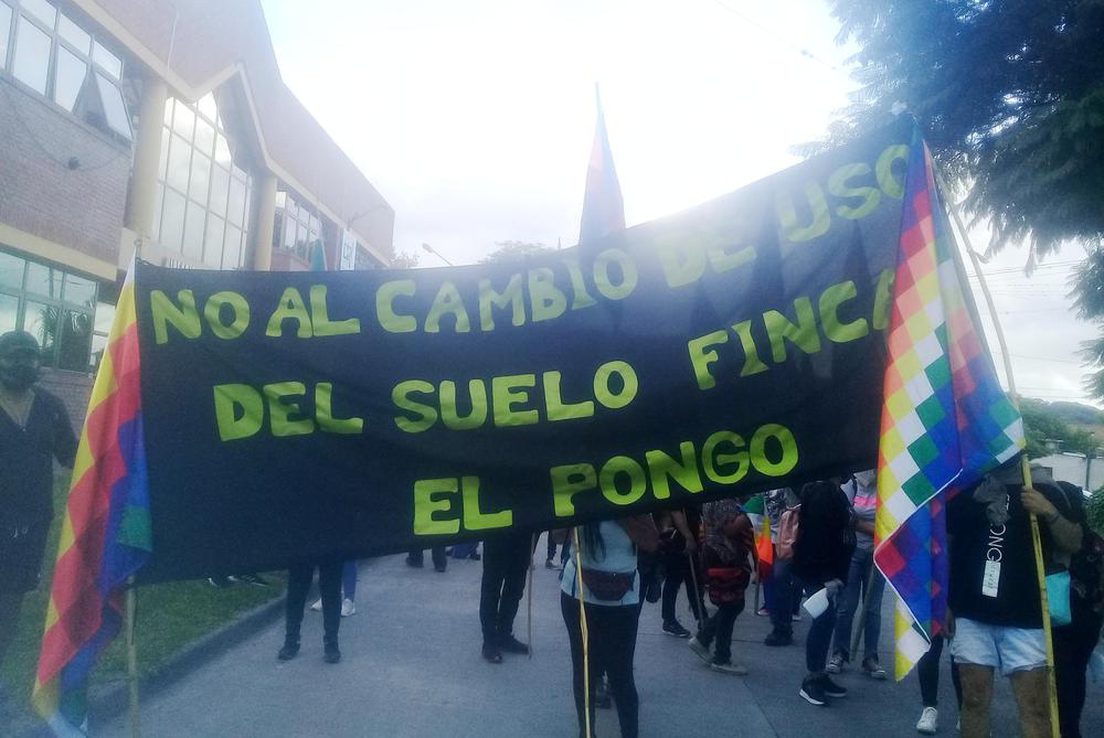 cambio suelo el pongo