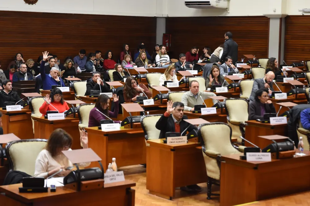 7ma sesion legislatura (15)