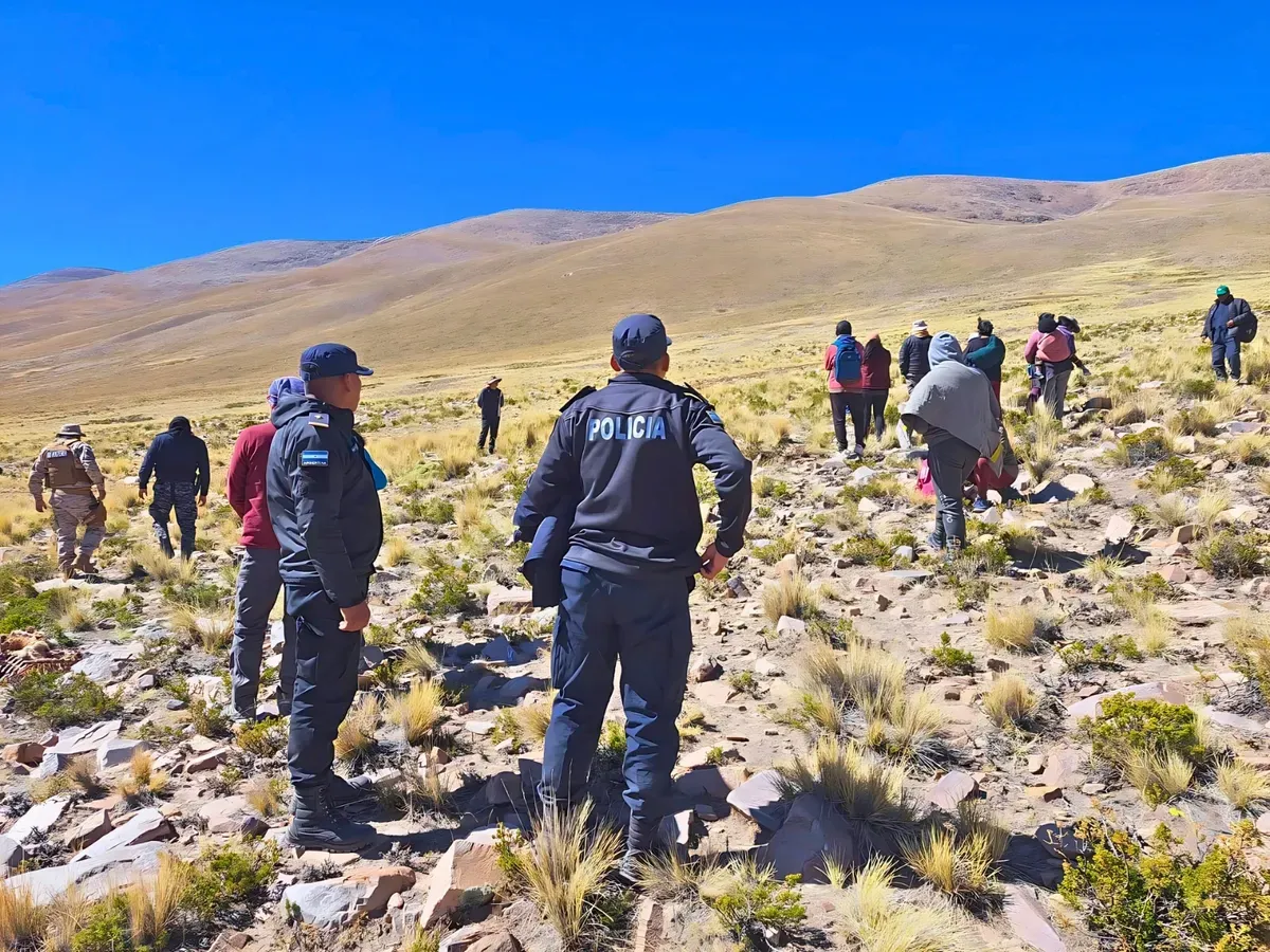 caza vicuña norte jujuy1