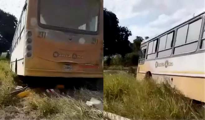 samta ana empresa colectivos