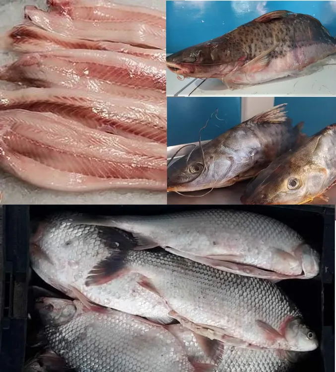 pescados semana santa