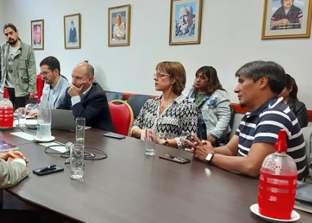 ale vilca constituyente