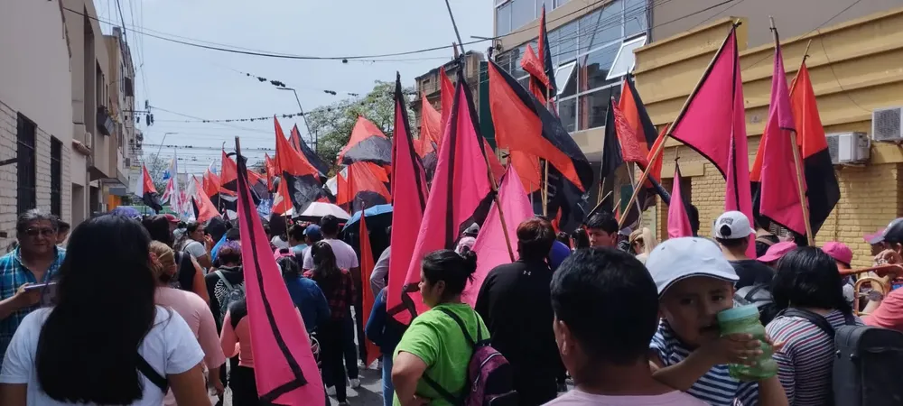 marcha organizaciones sociales 11103