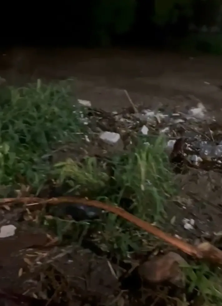 Screenshot_20240117-101806_WhatsApp