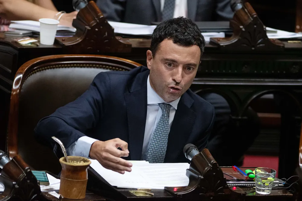 la-cmara-de-diputados-in_1042775