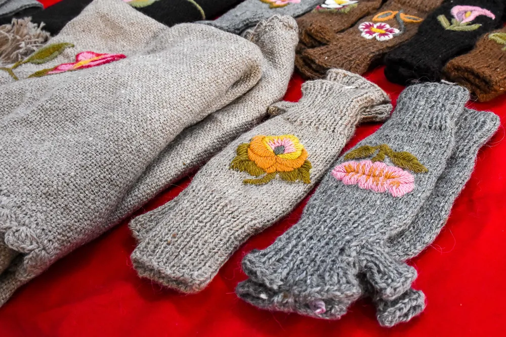 26-11-2023_la_localidad_jujenia_de_santa (1)