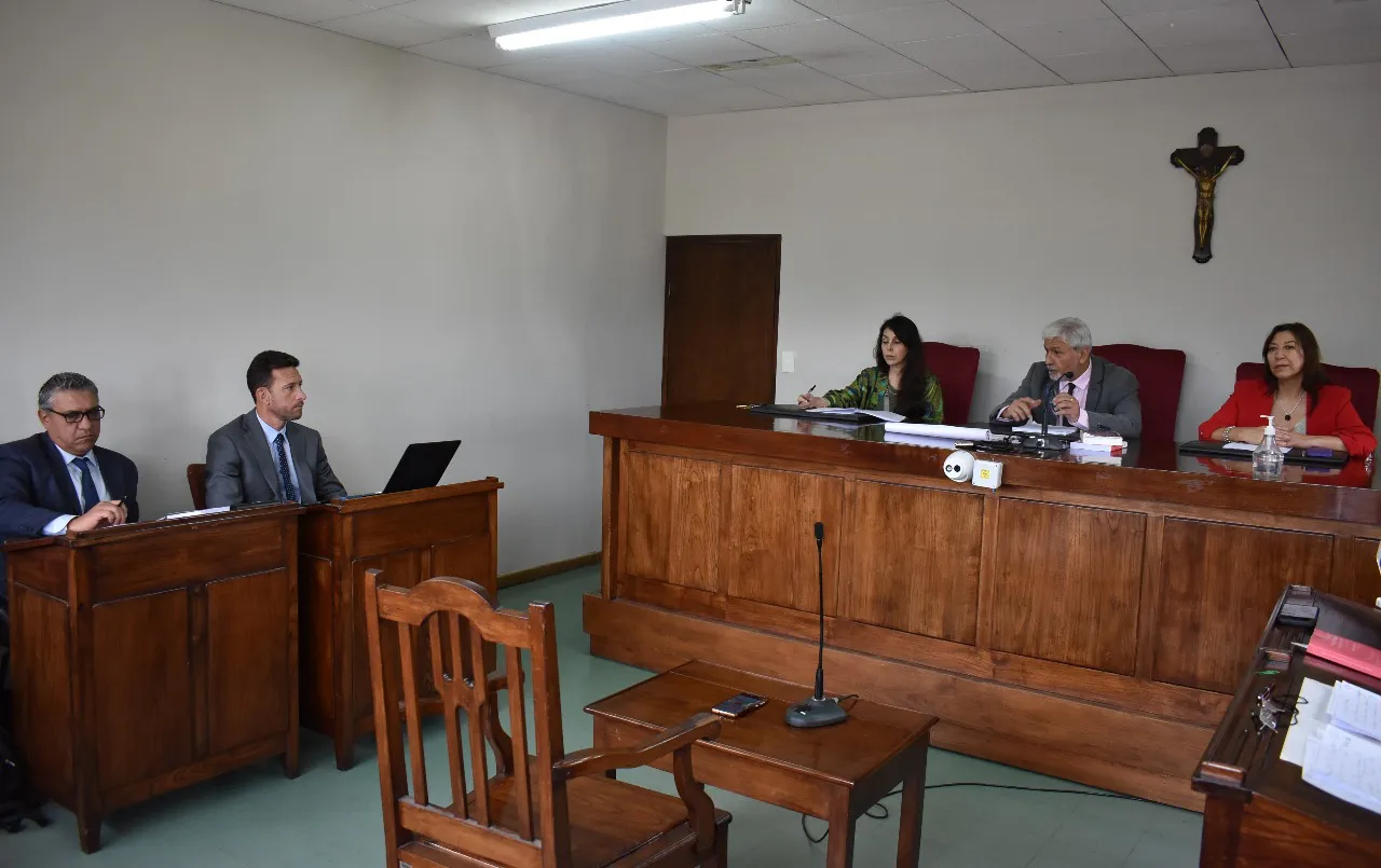 tribunal perro