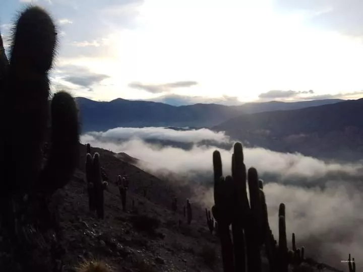 FB_IMG_1680454042410