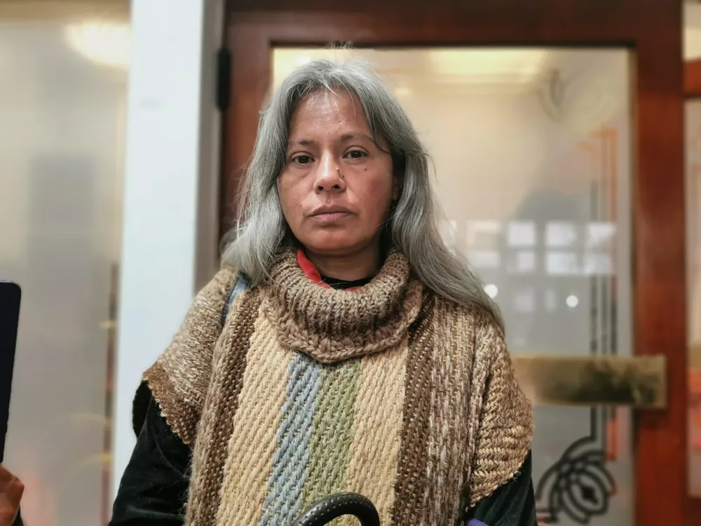 MERCEDES SOSA CEDEMS LEGISLATURA